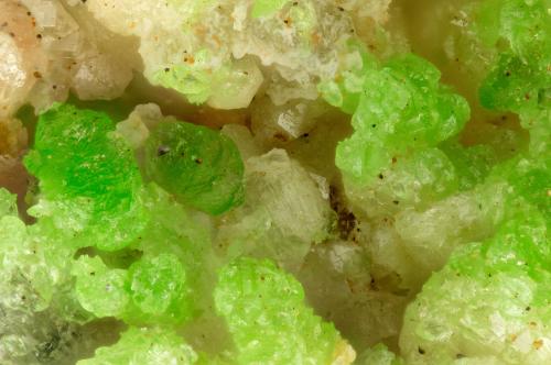 Conichalcite<br />Mina Mohawk, Colina Mohawk, Montes Clark, Distrito Clark Mountain (Distrito Clark), Condado San Bernardino, California, USA<br />FOV = 1.3 mm<br /> (Author: Doug)