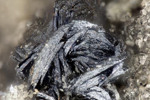 Chalcophanite<br />Mina Mohawk, Colina Mohawk, Montes Clark, Distrito Clark Mountain (Distrito Clark), Condado San Bernardino, California, USA<br />FOV = 1.7 mm<br /> (Author: Doug)