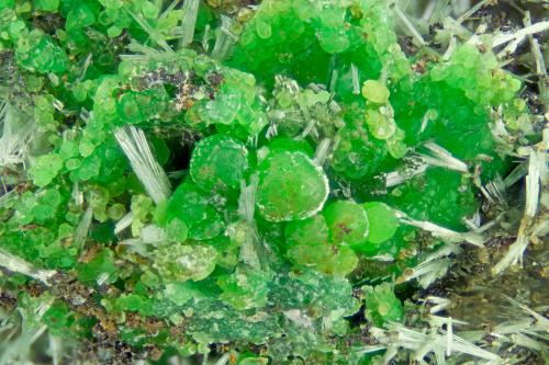 Conichalcite<br />Mina Hilarion, Zona Hilarion, Minas Kamariza, Agios Konstantinos, Distrito minero Lavrion, Prefectura Attikí (Attica), Grecia<br />FOV = 4.0 mm<br /> (Author: Doug)