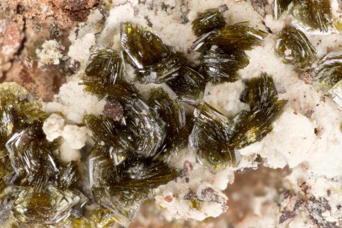 Mottramite<br />Mina Ford, Rambla Tucson, Mammoth, Distrito Mammoth, Condado Pinal, Arizona, USA<br />FOV = 3.4 mm<br /> (Author: Doug)