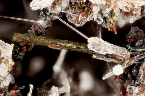 Hedenbergite<br />Cantera Lemolo Lake, Condado Douglas, Oregon, USA<br />FOV = 2.9 mm<br /> (Author: Doug)