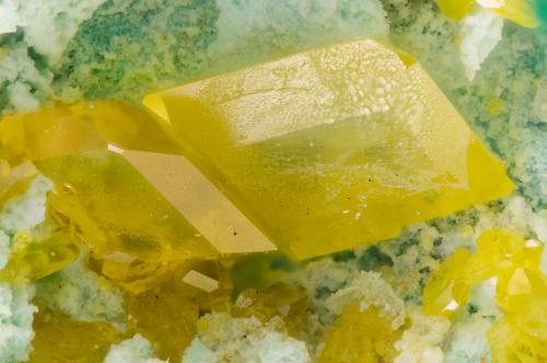 Wulfenite<br />Montes Santa Rita, Distrito Helvetia-Rosemont, Condado Pima, Arizona, USA<br />FOV = 3.3 mm<br /> (Author: Doug)