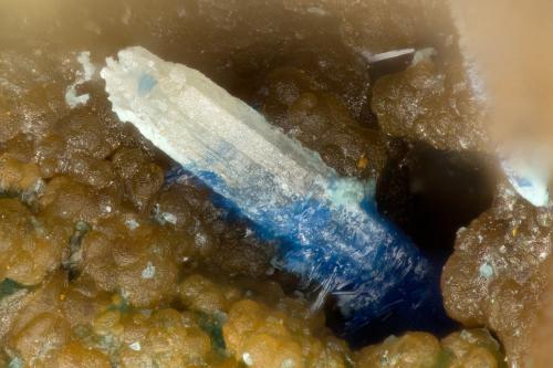 Cerussite, Linarite<br />Mina Friedrichssegen, Frücht, Distrito Bad Ems, Valle Lahn, Renania-Palatinado/Rheinland-Pfalz, Alemania<br />FOV = 1.1 mm<br /> (Author: Doug)