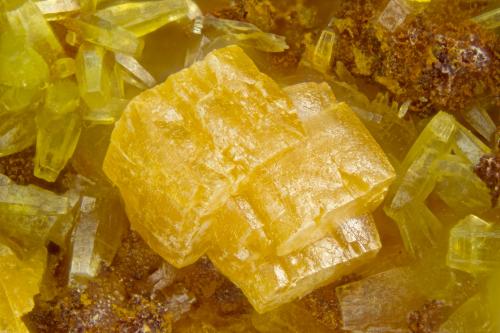 Wulfenite<br />Coombe Beck, Buttermere, Distrito Allerdale, (antes Cumberland), Cumbria, Inglaterra / Reino Unido<br />FOV = 2.0 mm<br /> (Author: Doug)