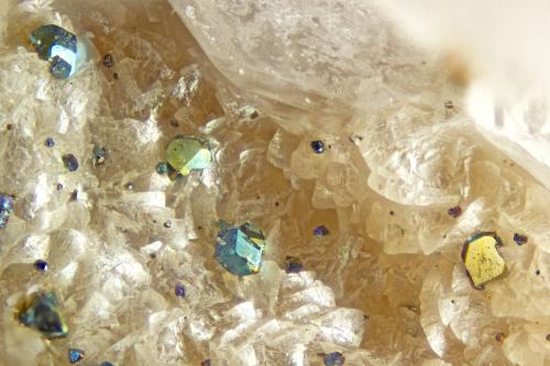 Chalcopyrite<br />Abersoch, Llanengan, Gwynedd, Gales / Reino Unido<br />FOV = 2.0 mm<br /> (Author: Doug)