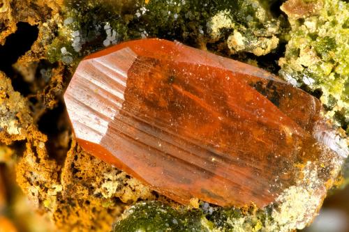 Crocoite<br />Concesión Platt, Campo minero Dundas, Distrito Zeehan, Consejo Costa Oeste, Tasmania, Australia<br />FOV = 3.4 mm<br /> (Author: Doug)