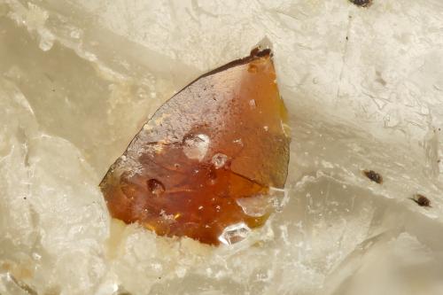 Descloizite<br />Sammy Dog Mine, Silver Bell Mountains, Silver Bell District, Pima County, Arizona, USA<br />FOV = 0.9 mm<br /> (Author: Doug)