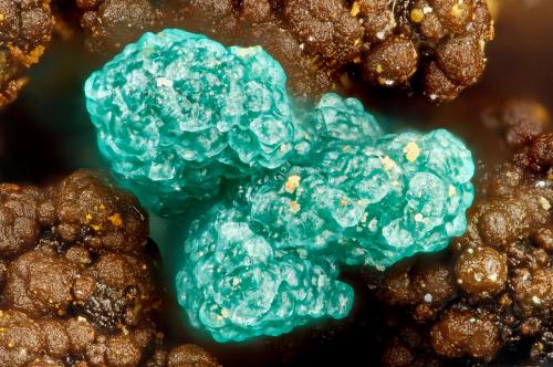 Chrysocolla<br />Mina 3 Metals, Distrito Weepah, Condado Esmeralda, Nevada, USA<br />FOV = 1.7 mm<br /> (Author: Doug)