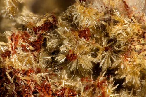 Mimetite<br />Mina Santa Ana, Sierra Cerrillos, Provincia Tocopilla, Región Antofagasta, Chile<br />FOV = 1.8 mm<br /> (Author: Doug)