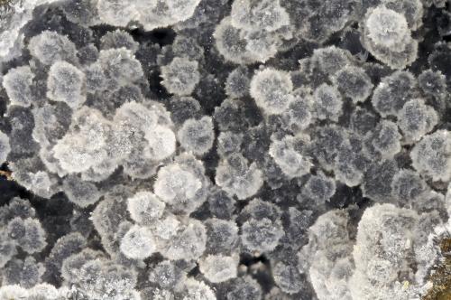 Cowlesite<br />Cantera Four Mile, Porter, Condado Grays Harbour, Washington, USA<br />FOV = 4.0 mm<br /> (Author: Doug)