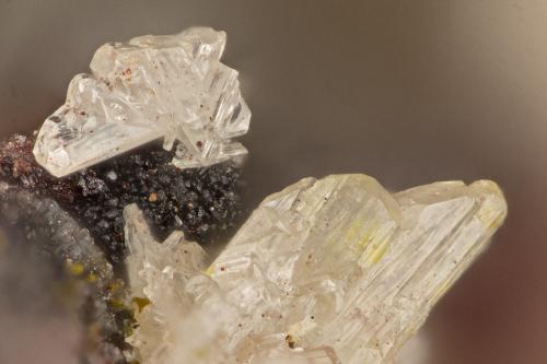 Cerussite<br />Mina Dives, Montes Trigo, Distrito Silver, Condado La Paz, Arizona, USA<br />FOV = 1.5 mm<br /> (Author: Doug)