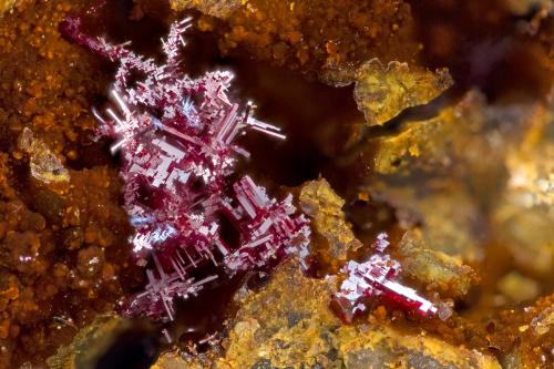 Cuprite<br />Minas Ray, Zona Scott Mountain, Distrito Mineral Creek, Montes Dripping Spring, Condado Pinal, Arizona, USA<br />FOV = 3.2 mm<br /> (Author: Doug)