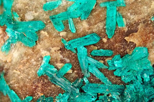 Dioptase<br />Mina Bonanza, Grupo Bonanza and Golden Eagle Mine, Pico Martin, Montes Little Harquahala, Salome, Distrito Little Harquahala, Condado La Paz, Arizona, USA<br />FOV = 4.0 mm<br /> (Author: Doug)