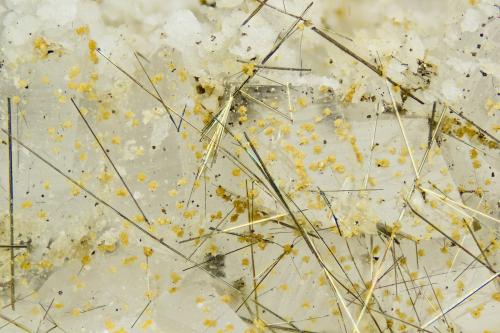 Millerite<br />Mina Le Cetine di Cotorniano (Mina Le Cetine), Chiusdino, Provincia Siena, Toscana, Italia<br />FOV = 4.0 mm<br /> (Author: Doug)