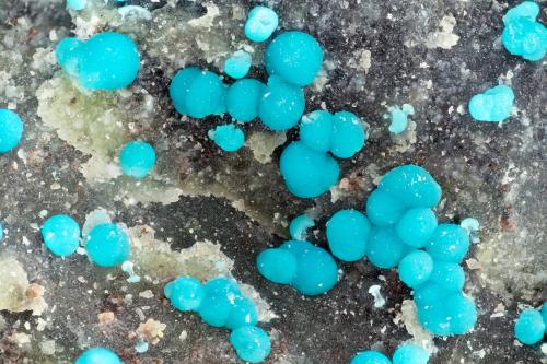 Mcguinnessite<br />Mina Sierra Magnesite (Mina Premier Chemicals), Gabbs, Distrito Gabbs, Condado Nye, Nevada, USA<br />FOV = 3.9 mm<br /> (Author: Doug)