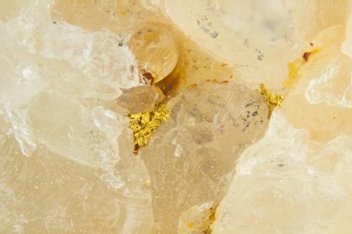 Gold<br />Mina Reef, Cañón Carr, Montes Huachuca, Distrito Hartford (Distrito Montes Huachuca), Condado Cochise, Arizona, USA<br />FOV = 2.0 mm<br /> (Author: Doug)