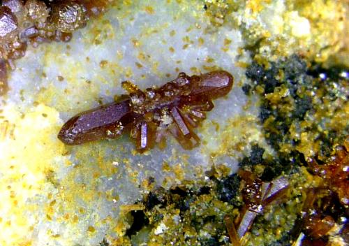 Vanadinita<br />Mina Barranco de los Lobos, La Peza, Comarca Guadix, Granada, Andalucía, España<br />Cristal de 3 mm.<br /> (Autor: Antonio P. López)