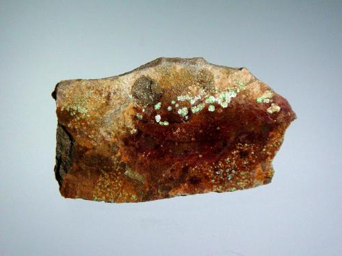 Zeunerita<br />Rabejac, Le Puech, Lodève District, Distrito Lodève, Hérault Department, Occitanie, France<br />4 x 3 cm.<br /> (Autor: Antonio P. López)