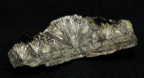 Millerite<br />Mina Thompson (explotación a cielo abierto Thompson), Thompson, Región Winnipeg Capital, Manitoba, Canadá<br />5x2.5x1.5 cm<br /> (Author: Joseph DOliveira)