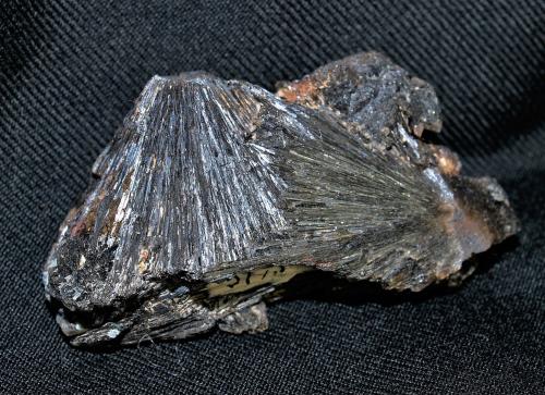 Hübnerite<br />Silverton, Distrito Animas, Condado San Juan, Colorado, USA<br />7x3.5x2.5 cm<br /> (Author: Joseph DOliveira)