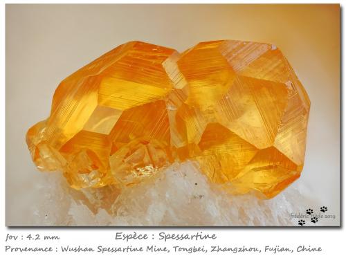 Spessartine<br />Wushan Spessartine prospects, Tongbei, Yunxiao, Zhangzhou Prefecture, Fujian Province, China<br />fov 4.2 mm<br /> (Author: ploum)