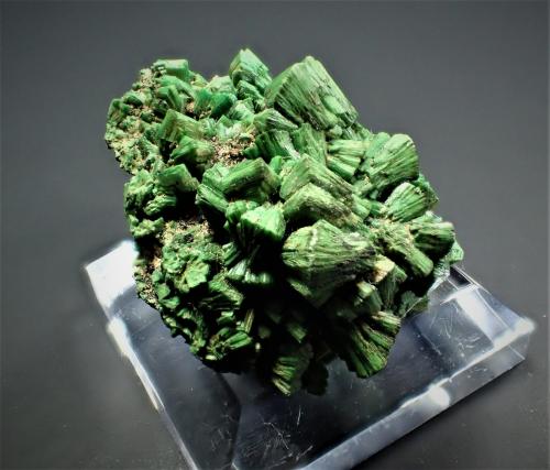 Torbernite<br />Mina Margabal, Entraygues-sur-Truyère, Lot et Truyère, Rodez, Aveyron, Occitanie, Francia<br />41 mm x 25 mm x 25 mm<br /> (Author: Don Lum)