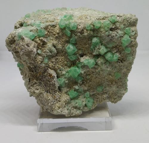 Fluorita<br />Pedrera Berta, Turó de Can Domènech, Serra de Roques Blanques, Sant Cugat del Vallès-El Papiol, Comarca Vallès Occidental / Baix Llobregat, Barcelona, Cataluña / Catalunya, España<br />7x9cm<br /> (Autor: Adri Rodríguez)