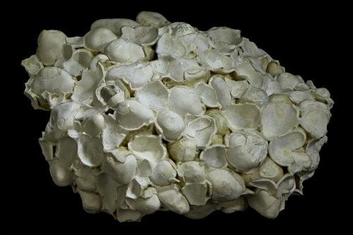 Aragonite (variety pisolite)<br />Karlovy Vary (Karlsbad), Distrito Karlovy Vary, Región Karlovy Vary, Bohemia, República Checa<br />55 x 45 x 30 mm<br /> (Author: Rob Schnerr)