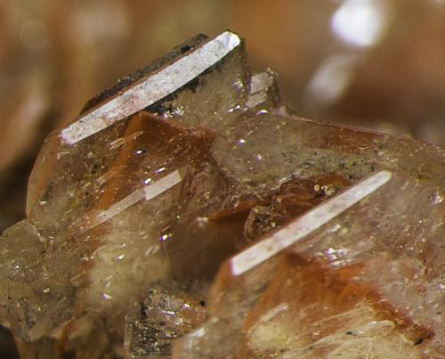 Baryte, Realgar<br />Baia Sprie, Maramures, Rumanía<br />FOV appr. 0,5 cm<br /> (Author: Rob Schnerr)