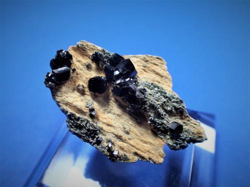 Andradite (variety melanite garnet)<br />Mina New Idria, Montes Diablo, Idria, Distrito New Idria, Condado San Benito, California, USA<br />26 mm x 16 mm x 15 mm<br /> (Author: Don Lum)