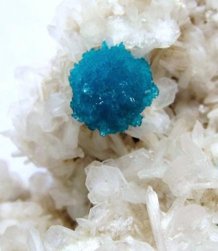 Cavansite, Stilbite<br />Canteras Wagholi, Wagholi, Distrito Pune (Distrito Poonah), Maharashtra, India<br />FOV 2 cm<br /> (Author: Tobi)