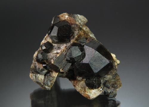 Almandine<br />Russell, Hampden County, Massachusetts, USA<br />4.9 cm x 5.2 cm<br /> (Author: Michael Shaw)