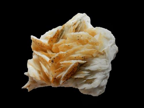 Baryte<br />Saint-Laurent-le-Minier, Le Vigan, Departamento Gard, Occitanie, Francia<br />80x60x40 mm<br /> (Author: Dany Mabillard)