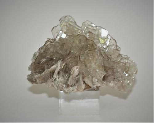 Baryte<br />Cerro Warihuyn, Puños, Distrito Miraflores, Provincia Huamalíes, Departamento Huánuco, Perú<br />80mm x 45mm x 50mm<br /> (Author: Philippe Durand)