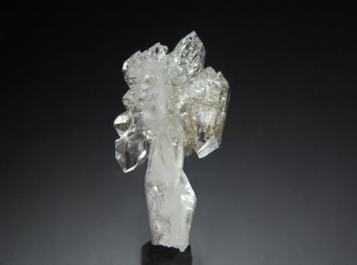 Quartz<br />Valle Illiez, Wallis (Valais), Suiza<br />1.5 cm x 2.2 cm<br /> (Author: Michael Shaw)