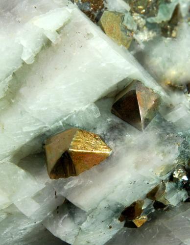 Chalcopyrite<br />Minas French Creek, St. Peters, Warwick, Condado Chester, Pennsylvania, USA<br />6.0 cm x 8.0 cm<br /> (Author: Michael Shaw)