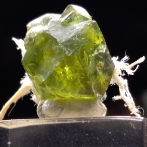 Andradite (variety demantoid)<br />Mina Sferlùn asbestos, Vallone del Cengiaccio, Lanzada, Valmalenco, Provincia Sondrio, Lombardía, Italia<br />12 mm<br /> (Author: Sante Celiberti)