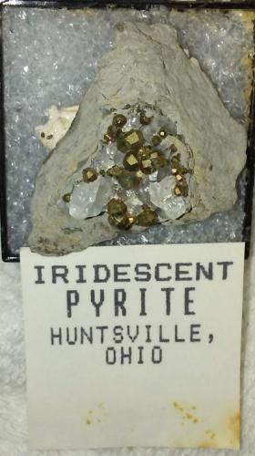 Pyrite and Calcite<br />Cantera C. E. Duff & Son, Huntsville, Logan County, Ohio, USA<br />32 mm<br /> (Author: R Saunders)