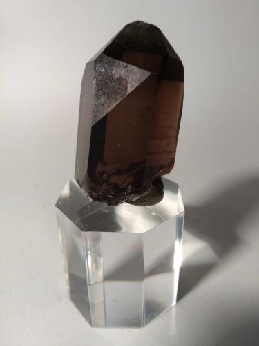 Quartz (variety smoky)<br />Glaciar Miage, Valle Veny, Macizo Monte Bianco (Macizo Mont Blanc), Courmayeur, Valle de Aosta (Val d'Aosta), Italia<br />54 x 27 mm<br /> (Author: Sante Celiberti)