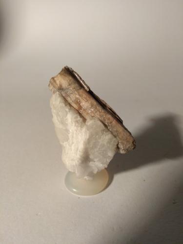 Sillimanite<br />Pegmatitas Nibbio-Val Faera (Nibbio-Val Fredda), Mergozzo, Provincia Verbano-Cusio-Ossola, Piamonte (Piemonte), Italia<br />50 x 39 mm<br /> (Author: Sante Celiberti)