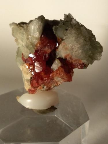 Diopside, Grossular (Var.: Hessonite)<br />Val d'Ala, Valles Lanzo (Valli di Lanzo), Provincia Ciudad metropolitana de Turín, Piamonte (Piemonte), Italia<br />37,5 x 39,5 mm<br /> (Author: Sante Celiberti)