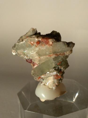 Diopside, Grossular (Var.: Hessonite)<br />Val d'Ala, Valles Lanzo (Valli di Lanzo), Provincia Ciudad metropolitana de Turín, Piamonte (Piemonte), Italia<br />37,5 x 39,5 mm<br /> (Author: Sante Celiberti)