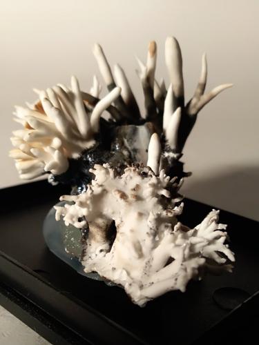 Aragonite (variety flos ferri)<br />Valle Trompia, Provincia Brescia, Lombardía, Italia<br />47 x 36 mm<br /> (Author: Sante Celiberti)