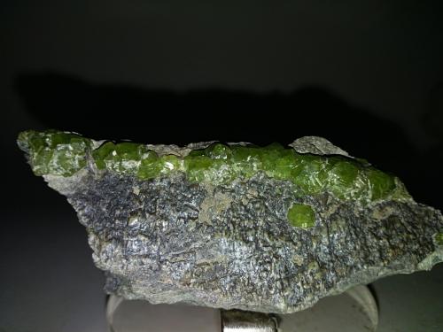 Andradite (variety demantoid)<br />Valmalenco, Provincia Sondrio, Lombardía, Italia<br />77 x 36 mm<br /> (Author: Sante Celiberti)