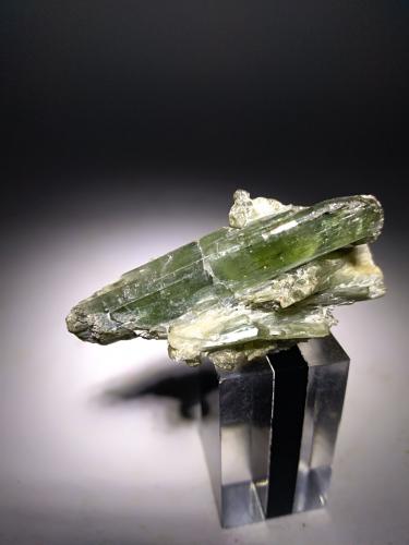 Diopside<br />Bellecombe, Châtillon, Valle de Aosta (Val d'Aosta), Italia<br />43 x 21 mm<br /> (Author: Sante Celiberti)