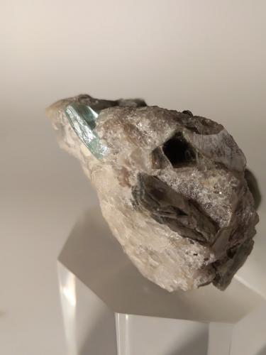 Beryl (variety aquamarine)<br />Valle Codera, Novate Mezzola, Valchiavenna, Sondrio, Lombardía, Italia<br />34,5 x 31,6 mm<br /> (Author: Sante Celiberti)