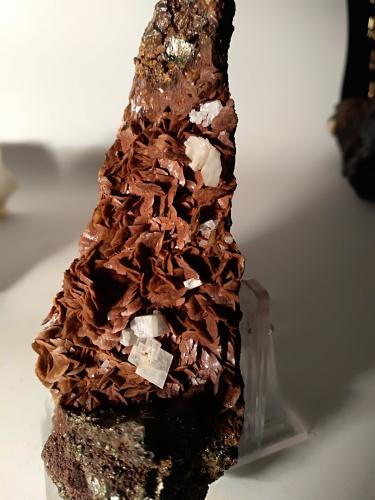 Siderite, Baryte, Pyrite<br />Mina Brosso, Cálea, Léssolo, Distrito Canavese, Provincia Ciudad metropolitana de Turín, Piamonte (Piemonte), Italia<br />128 x 37 mm<br /> (Author: Sante Celiberti)