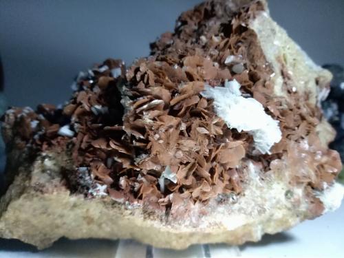 Siderite, Baryte, Calcite<br />Mina Brosso, Cálea, Léssolo, Distrito Canavese, Provincia Ciudad metropolitana de Turín, Piamonte (Piemonte), Italia<br />132 x 87 mm<br /> (Author: Sante Celiberti)