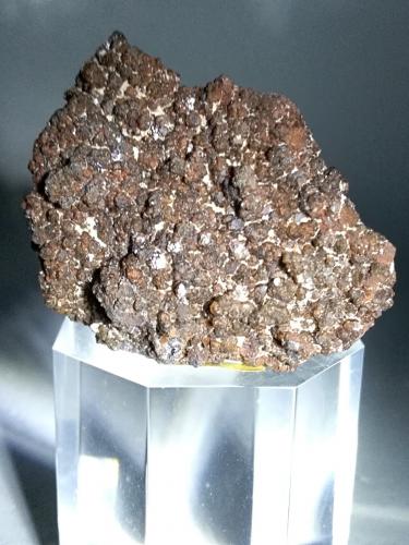 Siderite (variety magnesian)<br />Mina Brosso, Cálea, Léssolo, Distrito Canavese, Provincia Ciudad metropolitana de Turín, Piamonte (Piemonte), Italia<br />45 x 38 mm<br /> (Author: Sante Celiberti)