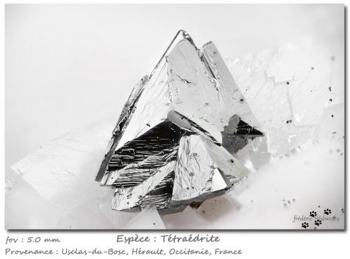 Tetrahedrite<br />Cantera Usclas-du-Bosc, Le Bosc, Cantón Lodève, Distrito Lodève, Hérault, Occitanie, Francia<br />fov 5.0 mm<br /> (Author: ploum)